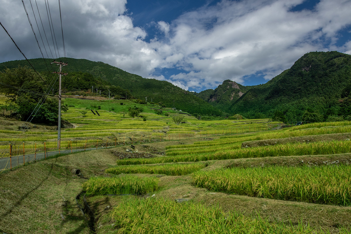 丸山千枚田