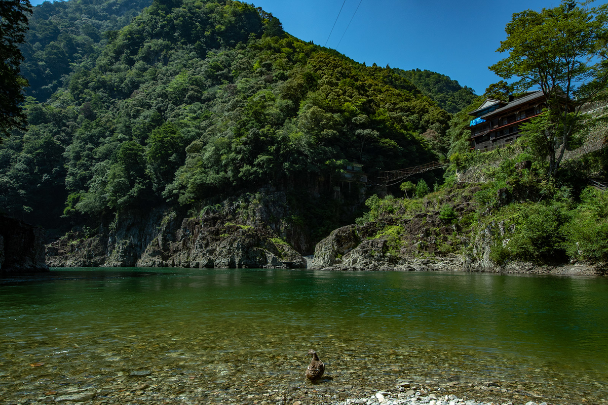 奈良、和歌山、三重県の絶景スポット瀞峡巡り