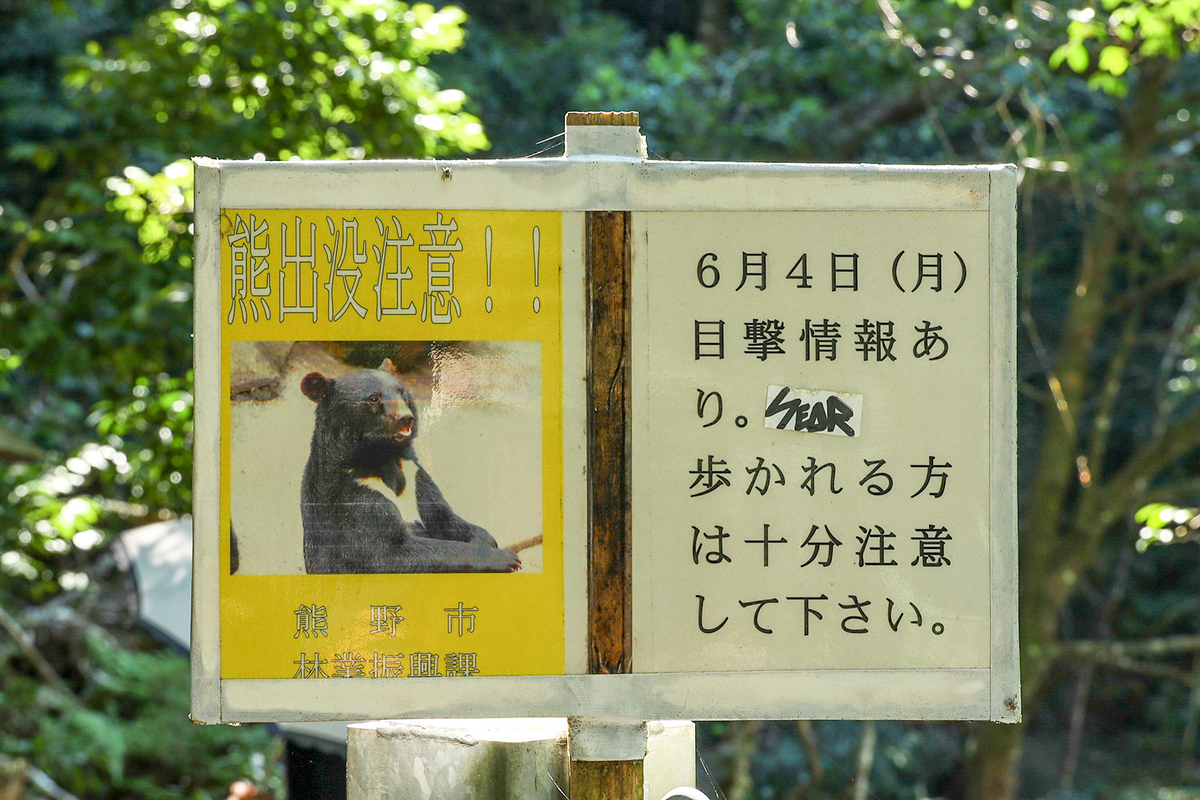 奈良、和歌山、三重県の絶景スポット瀞峡巡り