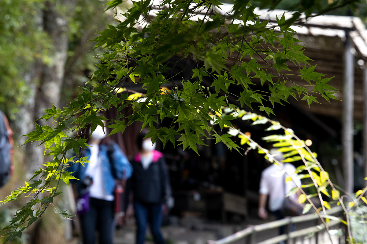 京都大原三千院
