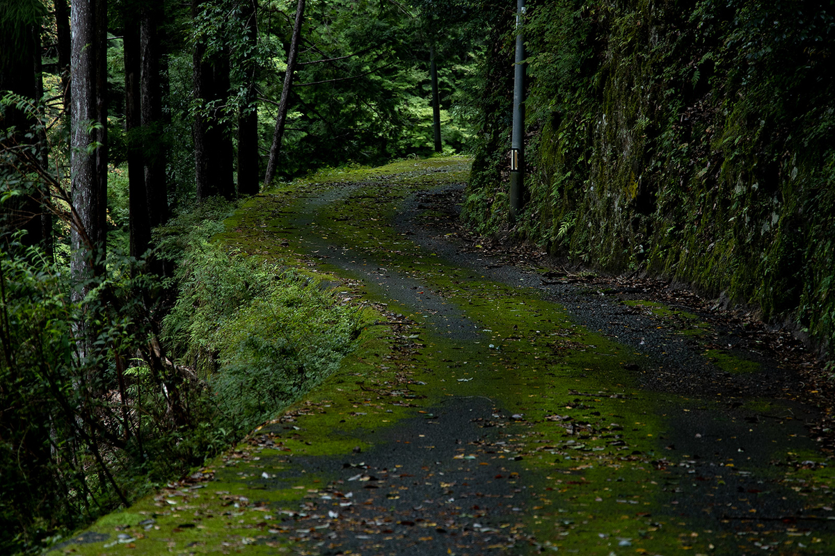 f:id:kumakumakoara:20200927181432j:plain