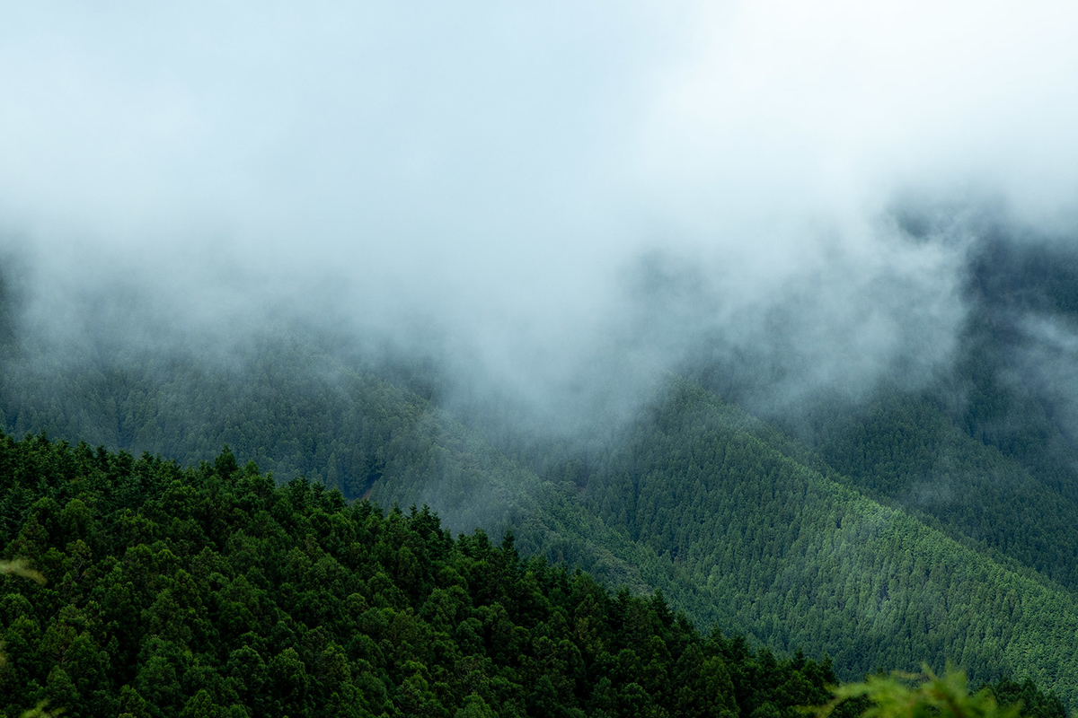 f:id:kumakumakoara:20200927185059j:plain