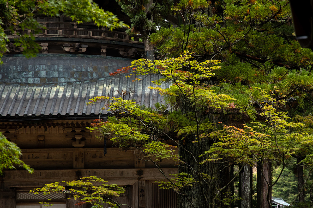 高野山