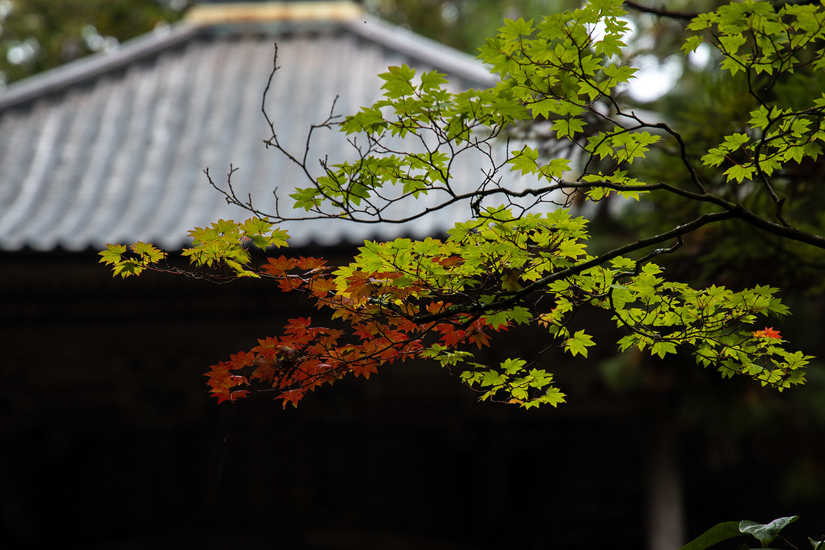 高野山