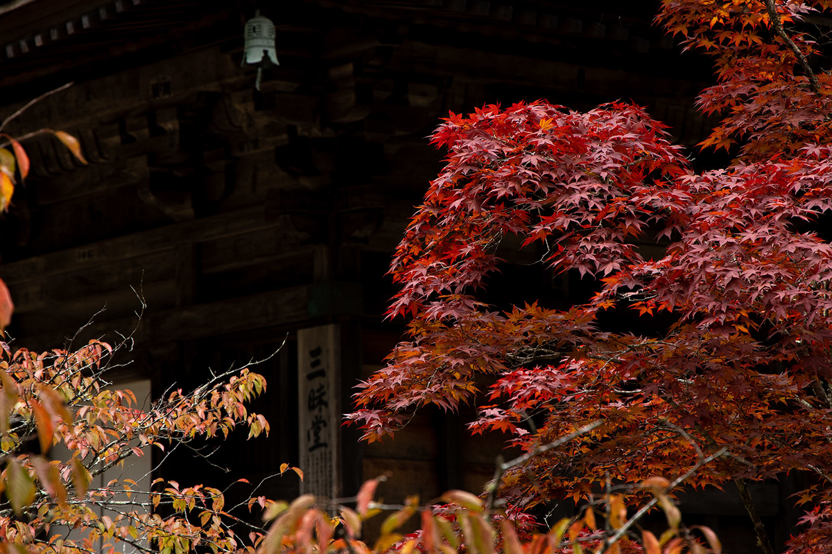 高野山