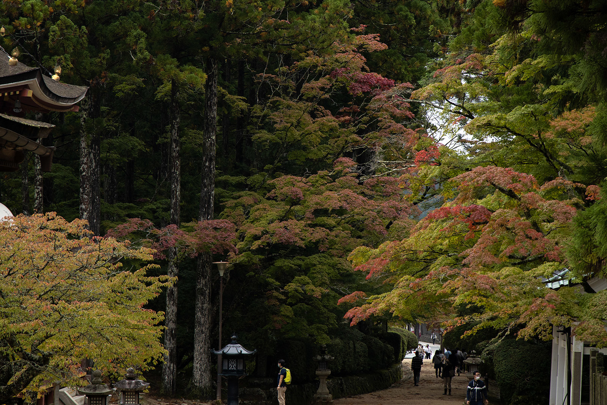 高野山