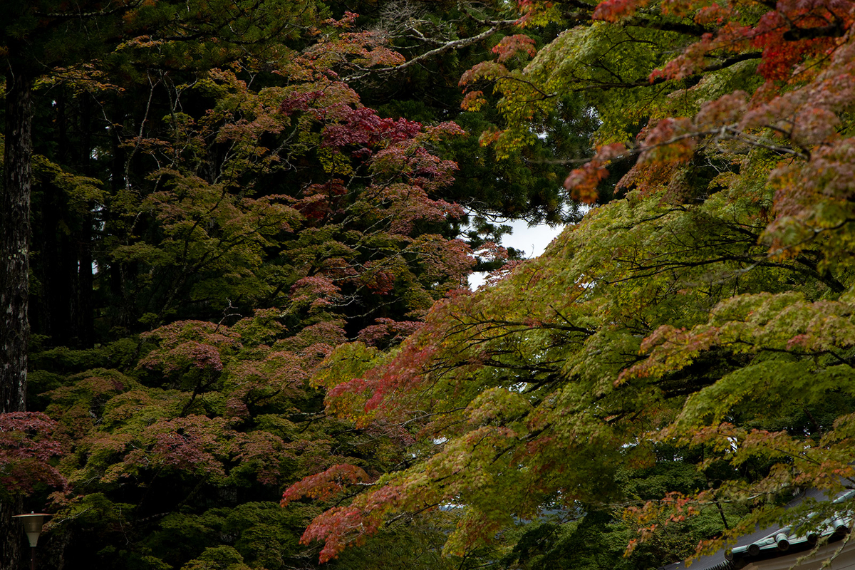 高野山