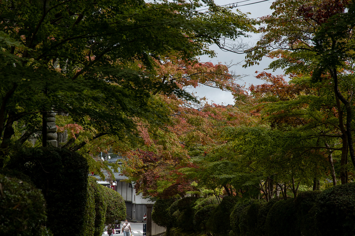 高野山