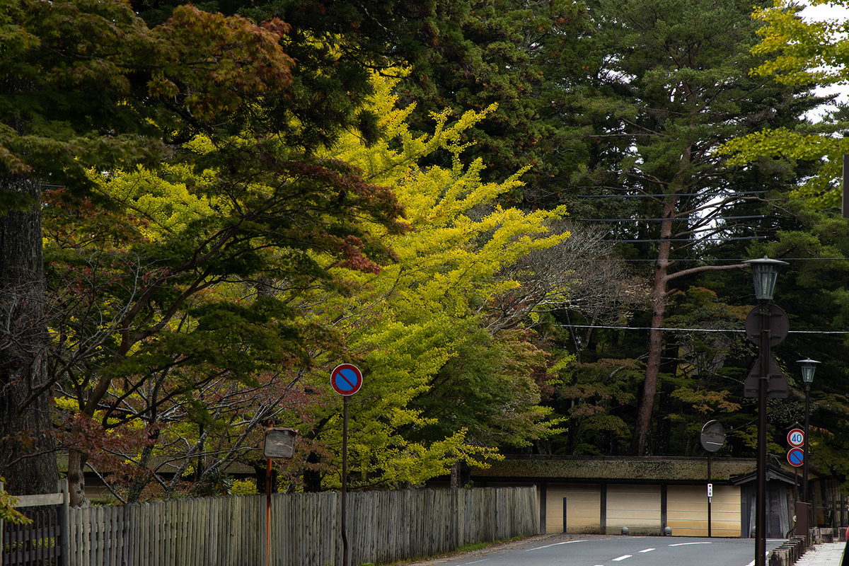 高野山