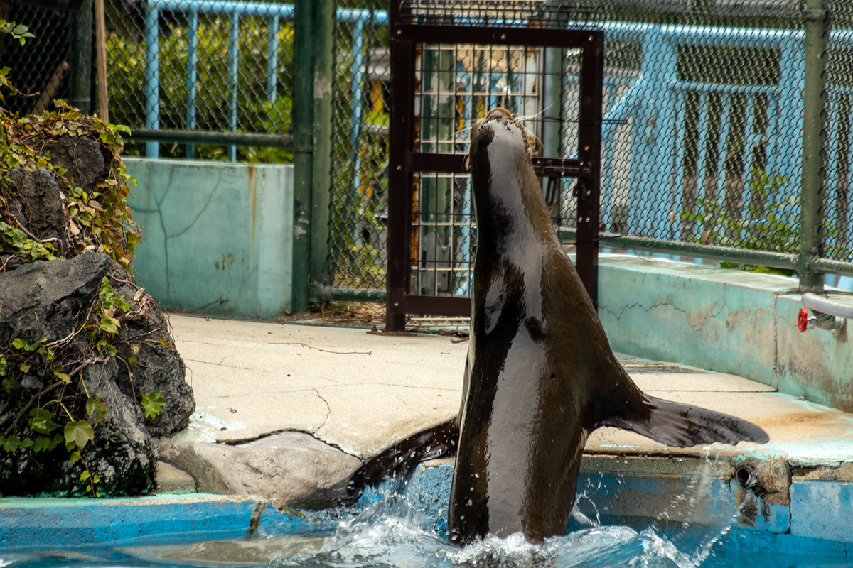 天王寺動物園