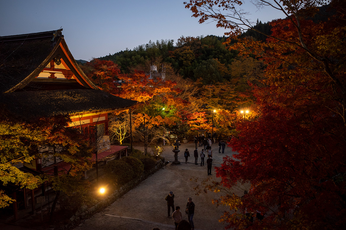 奈良県の紅葉スポット、ライトアップされた談山神社