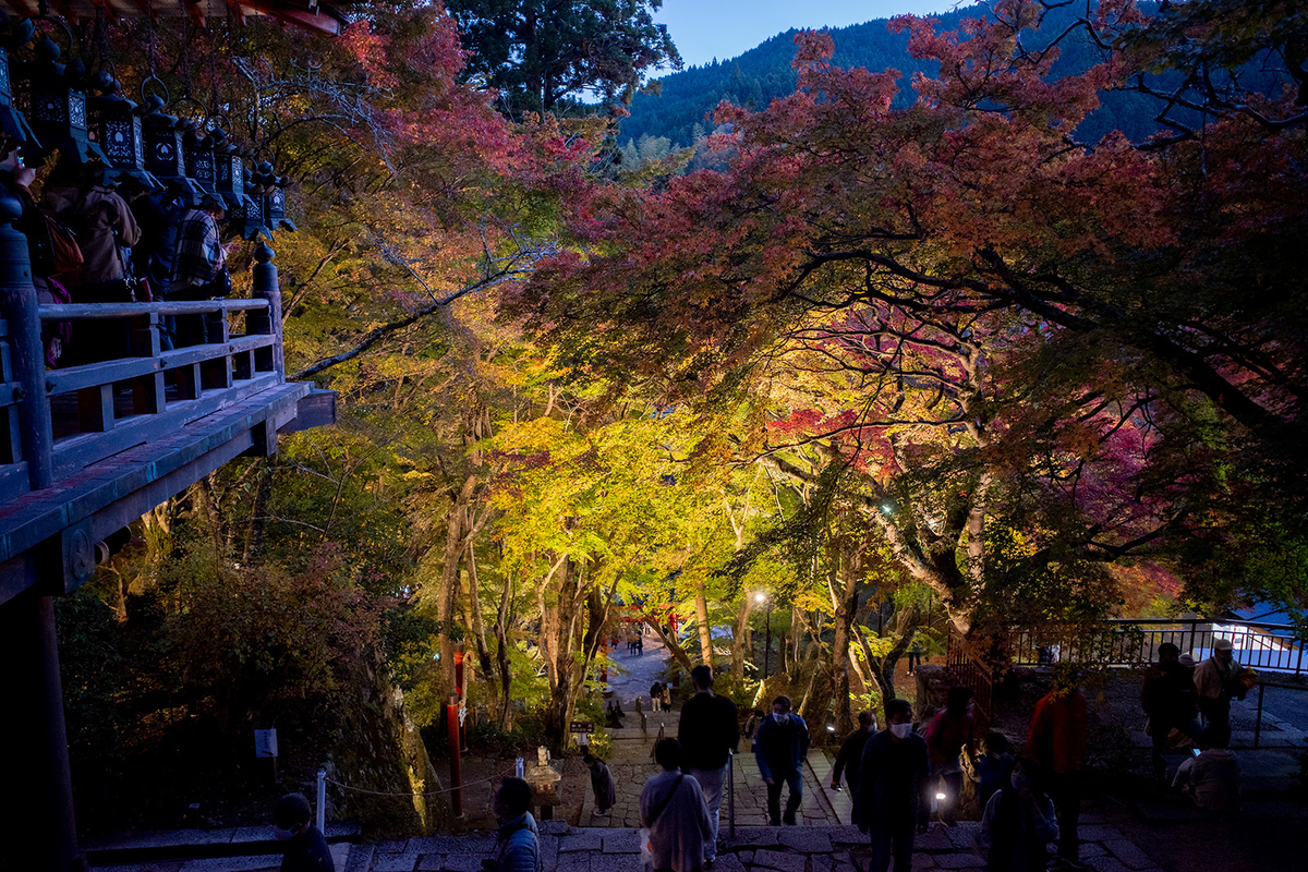 奈良県の紅葉スポット、ライトアップされた談山神社