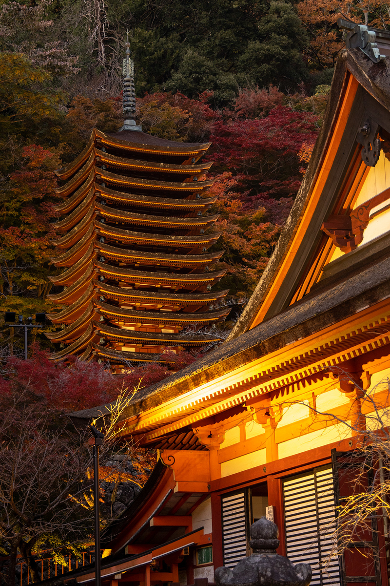 奈良県の紅葉スポット、ライトアップされた談山神社