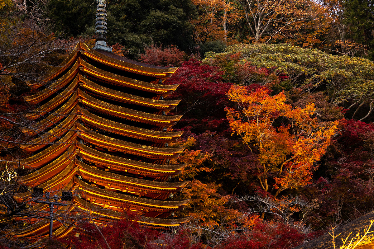 奈良県の紅葉スポット、ライトアップされた談山神社