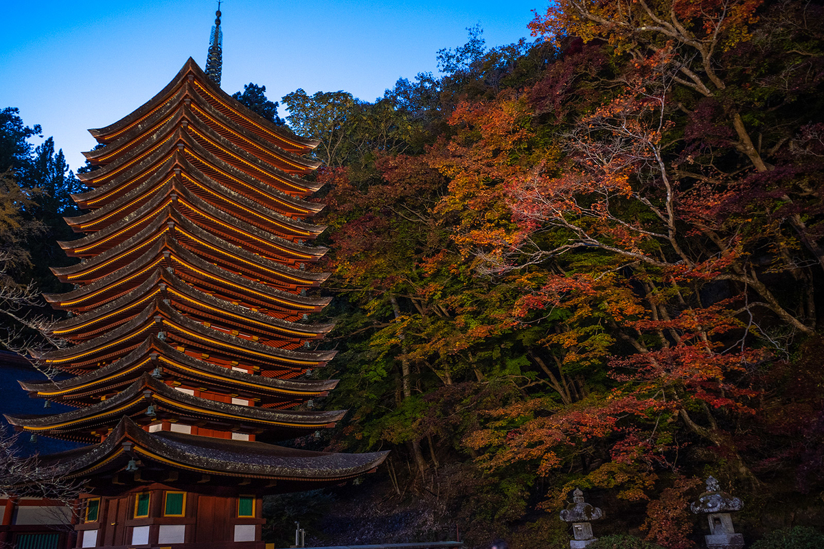 奈良県の紅葉スポット、ライトアップされた談山神社