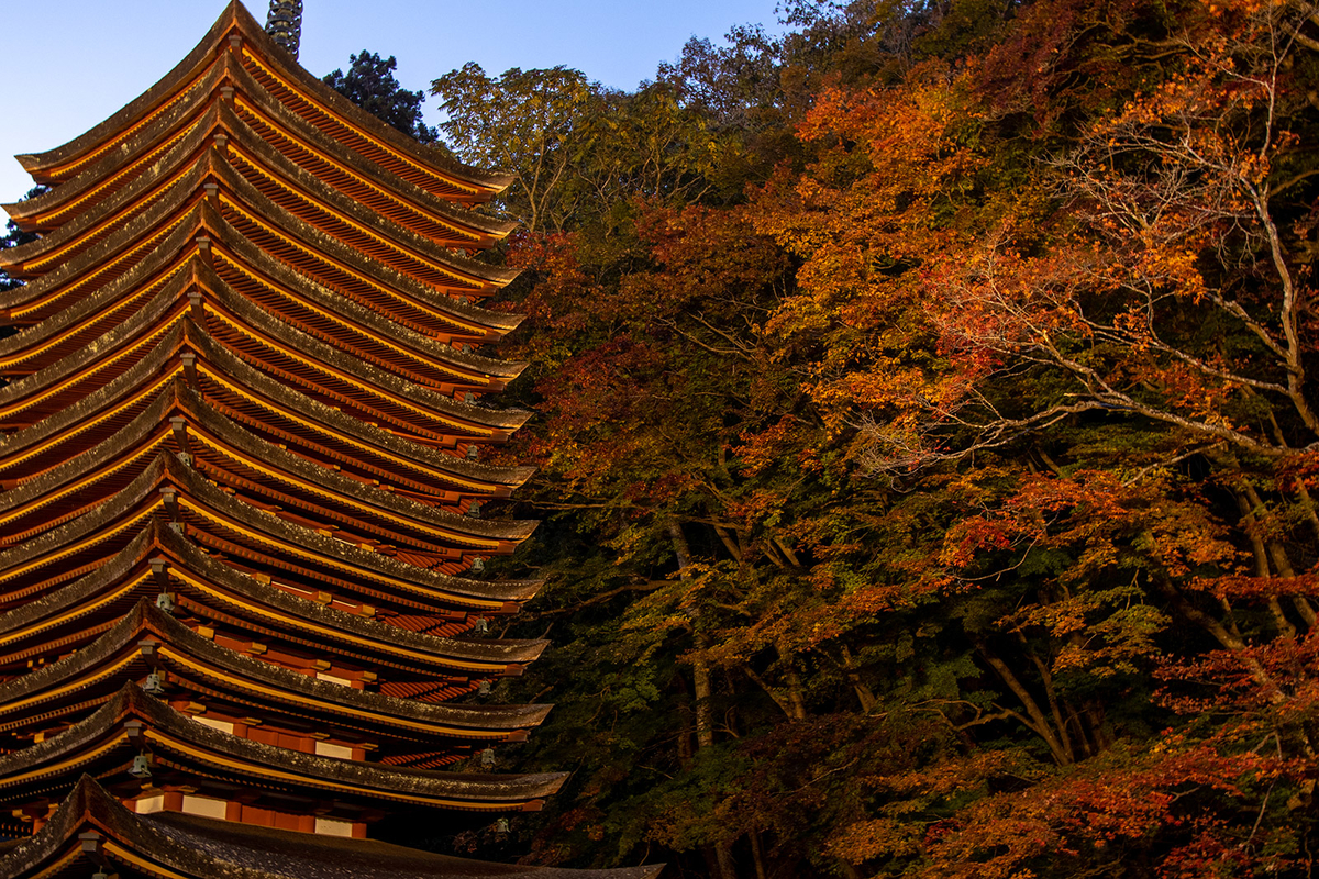 奈良県の紅葉スポット、ライトアップされた談山神社