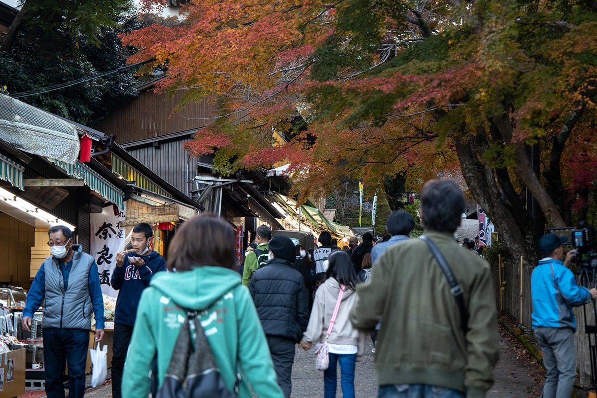 奈良県の紅葉スポット、ライトアップされた談山神社