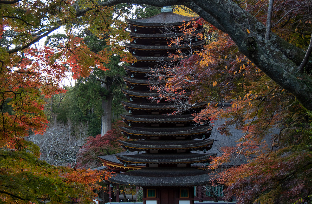 奈良県の紅葉スポット、ライトアップされた談山神社