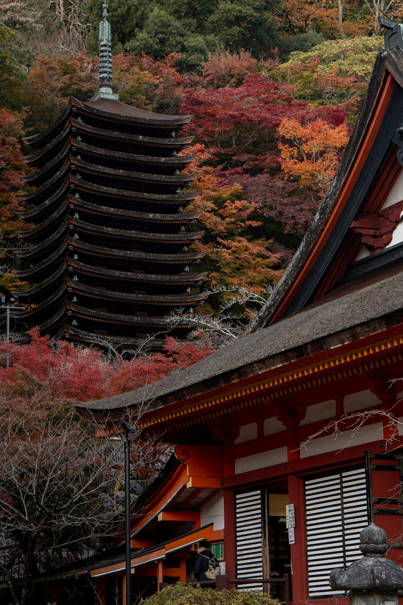 奈良県の紅葉スポット、ライトアップされた談山神社