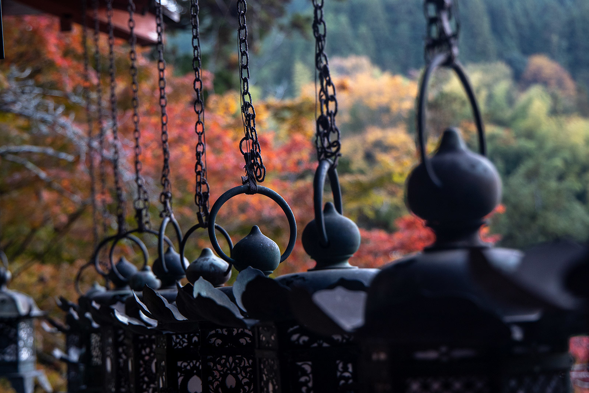 奈良県の紅葉スポット、ライトアップされた談山神社