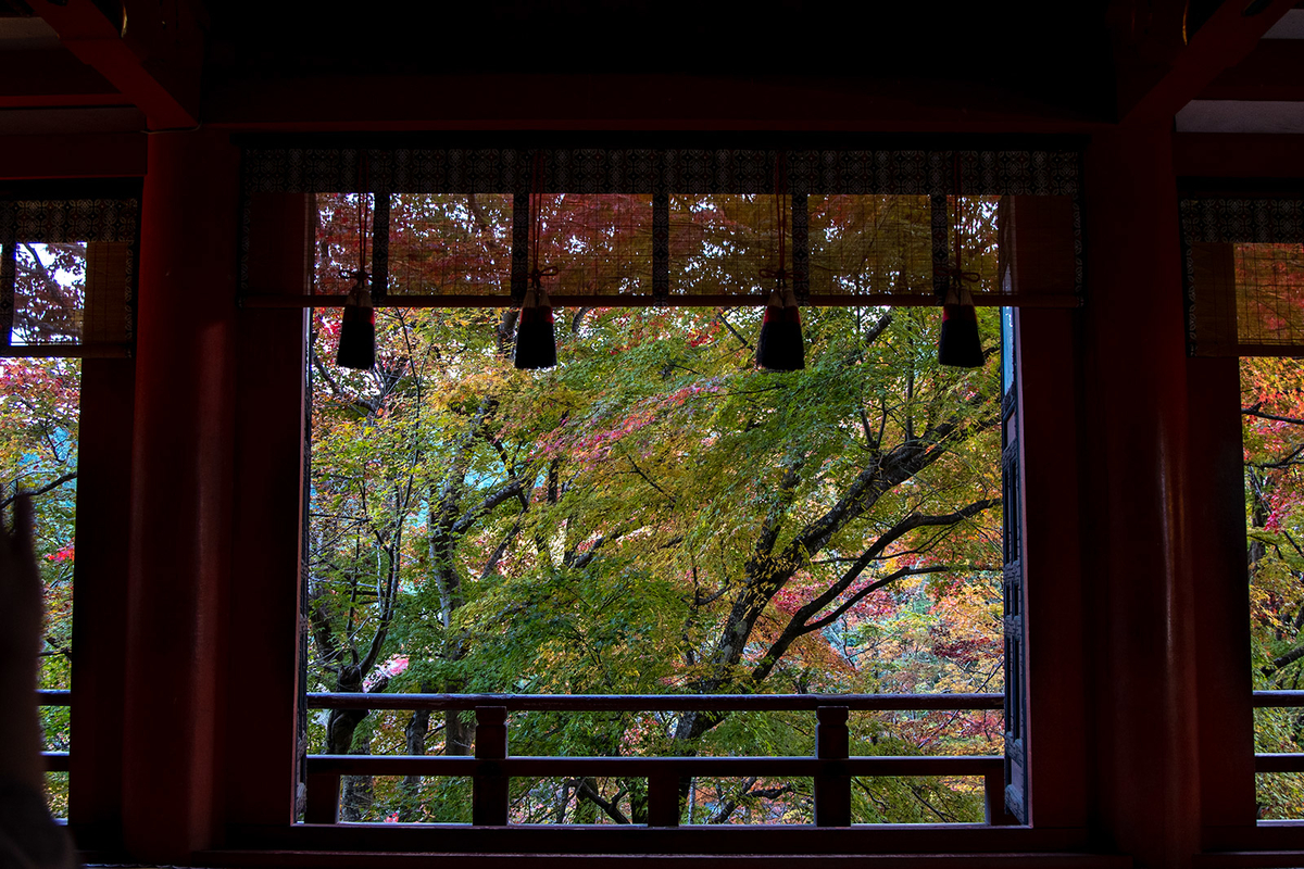 奈良県の紅葉スポット、ライトアップされた談山神社