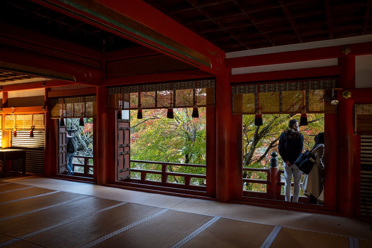 奈良県の紅葉スポット、ライトアップされた談山神社