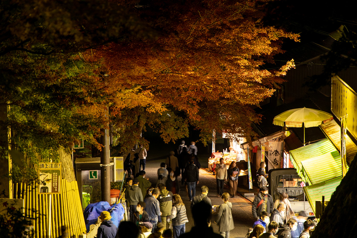 奈良県の紅葉スポット、ライトアップされた談山神社