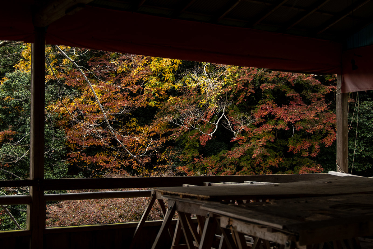 奈良県吉野の紅葉