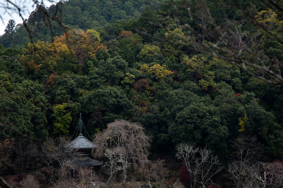 奈良県吉野