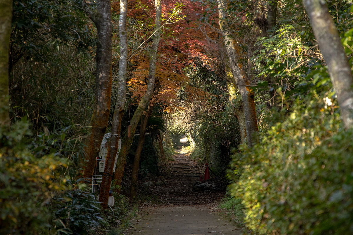 信貴山ケーブルカー跡登山道