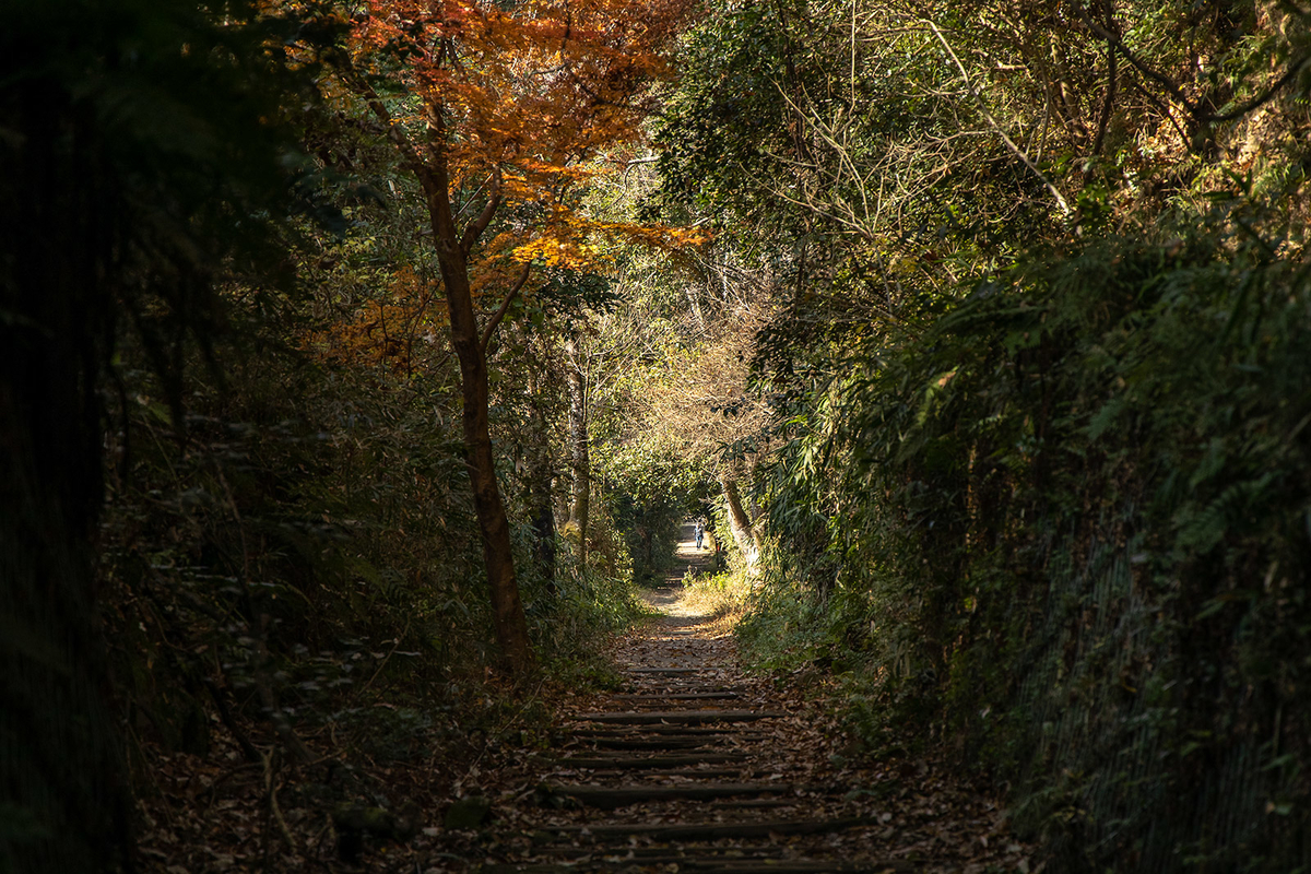 信貴山ケーブルカー跡登山道