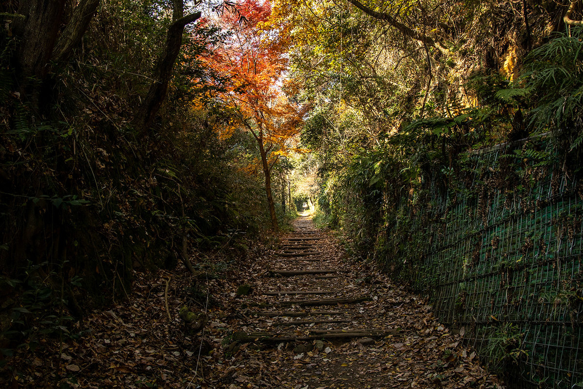 信貴山ケーブルカー跡登山道