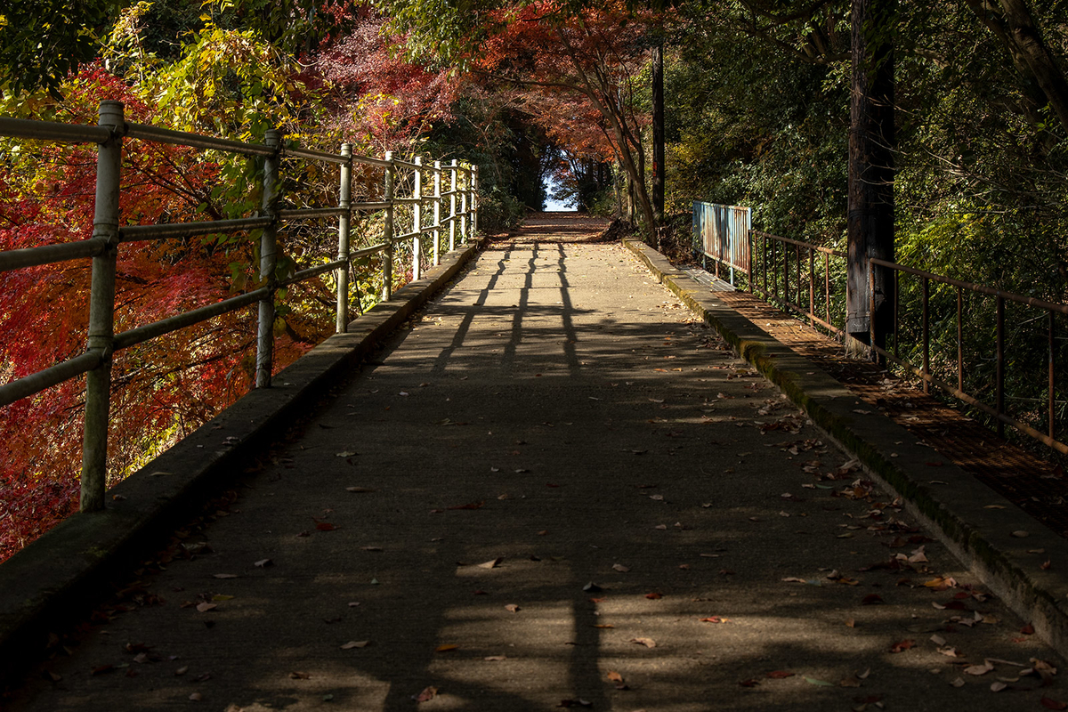 信貴山ケーブルカー跡登山道