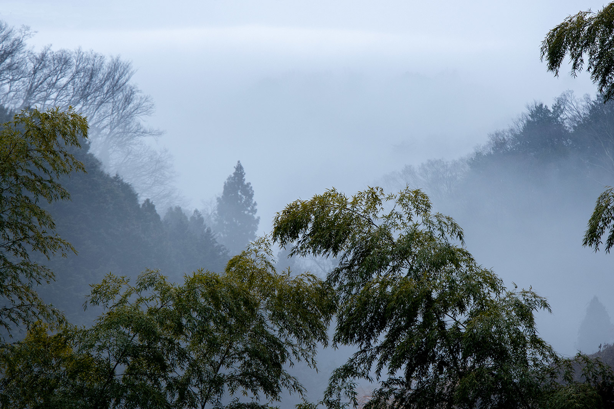 霧がかかる大阪信貴山