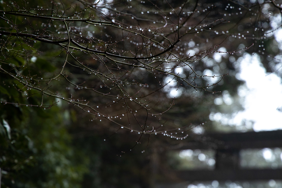 霧がかかる大阪信貴山