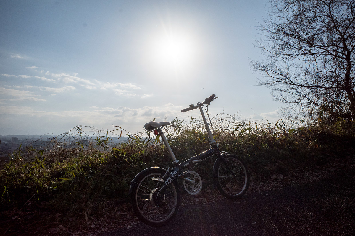 DAHON Route