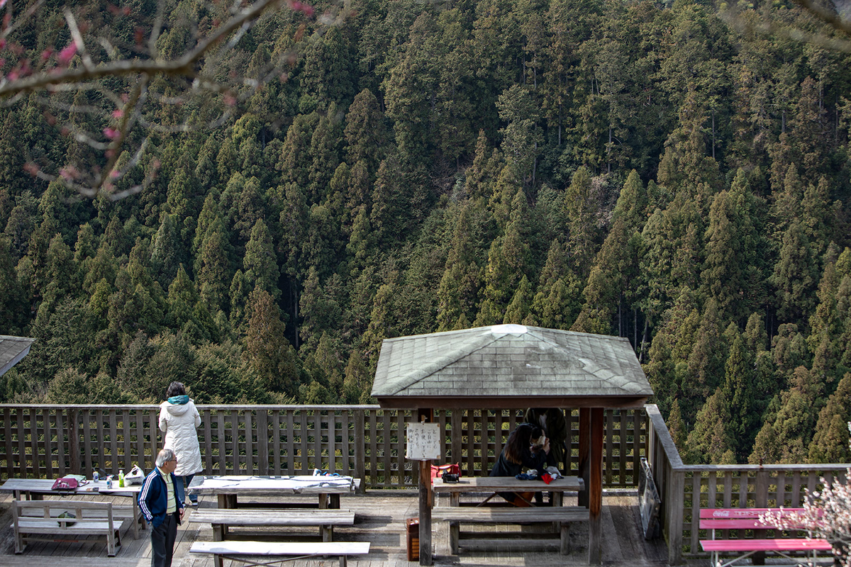 奈良県広橋梅林