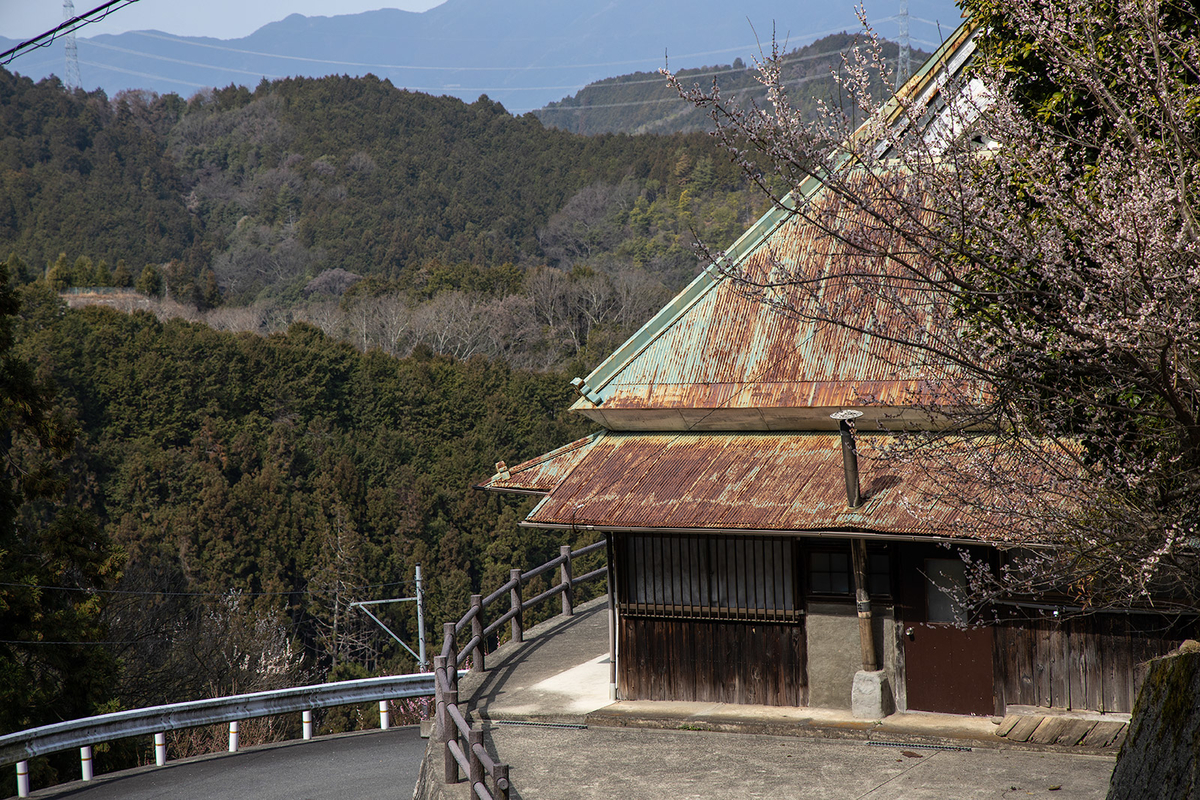 奈良県広橋梅林