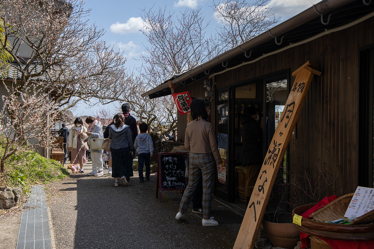 国名勝指定・県立自然公園の月ヶ瀬梅渓