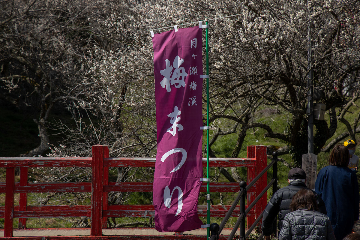 国名勝指定・県立自然公園の月ヶ瀬梅渓