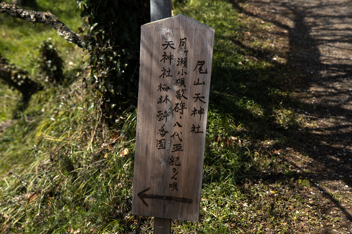 国名勝指定・県立自然公園の月ヶ瀬梅渓