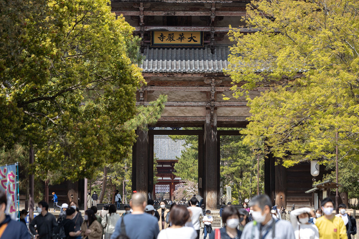 奈良公園