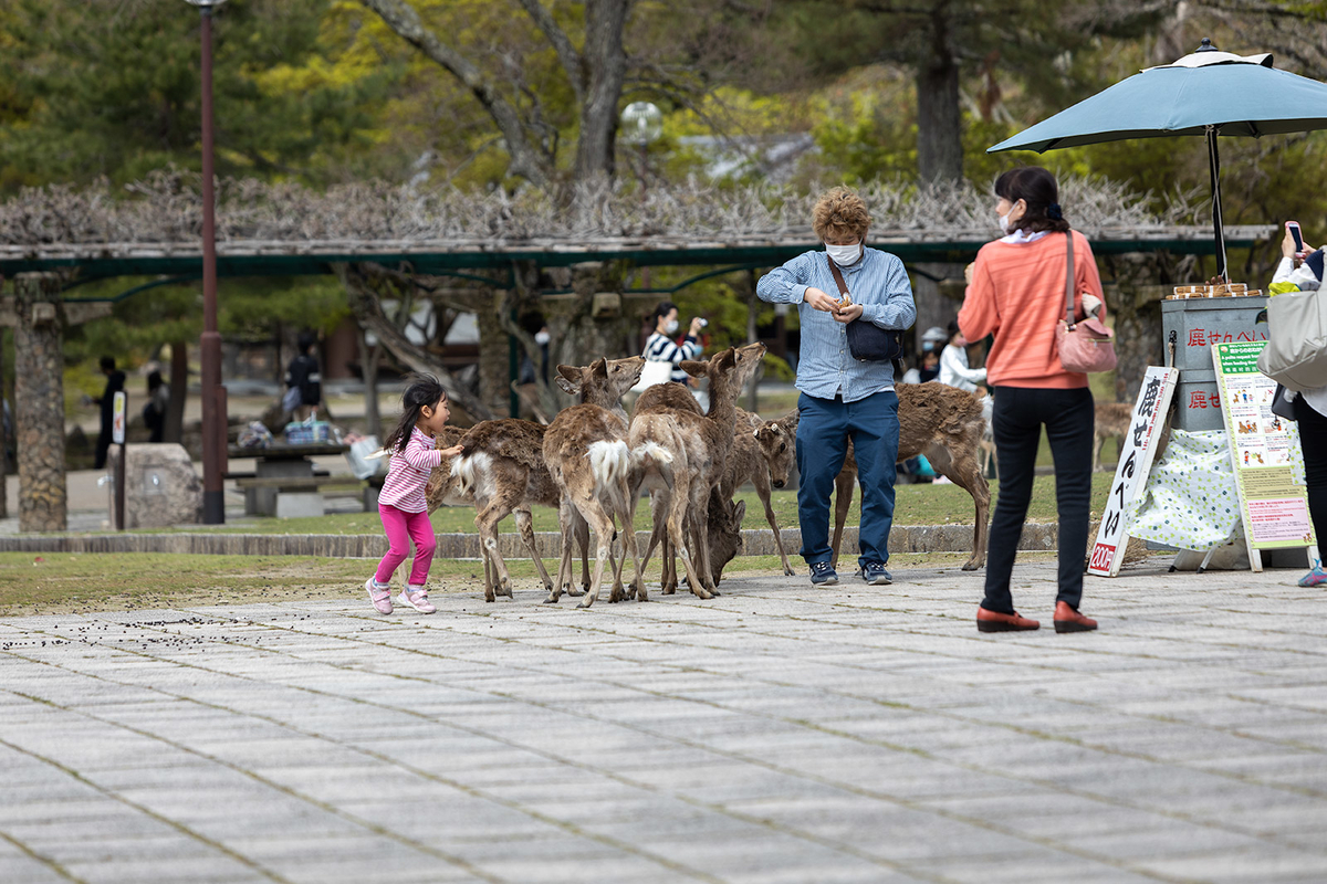 奈良公園