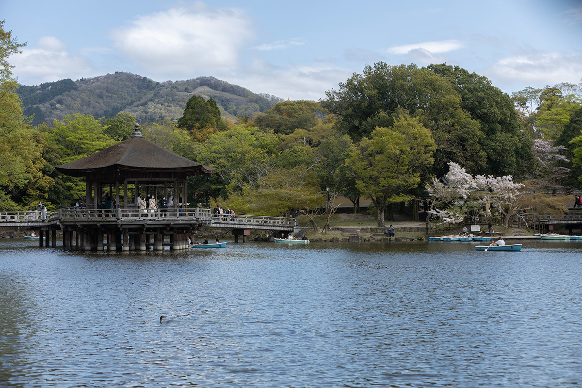 奈良公園