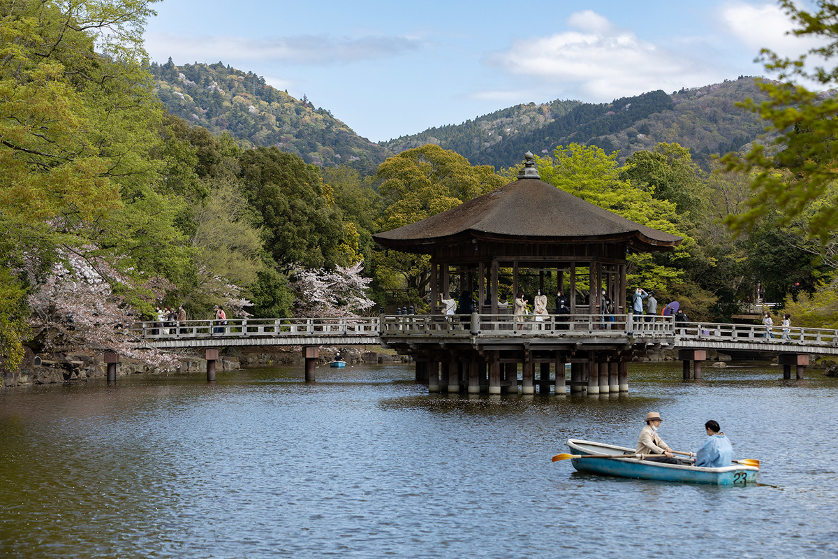 奈良公園