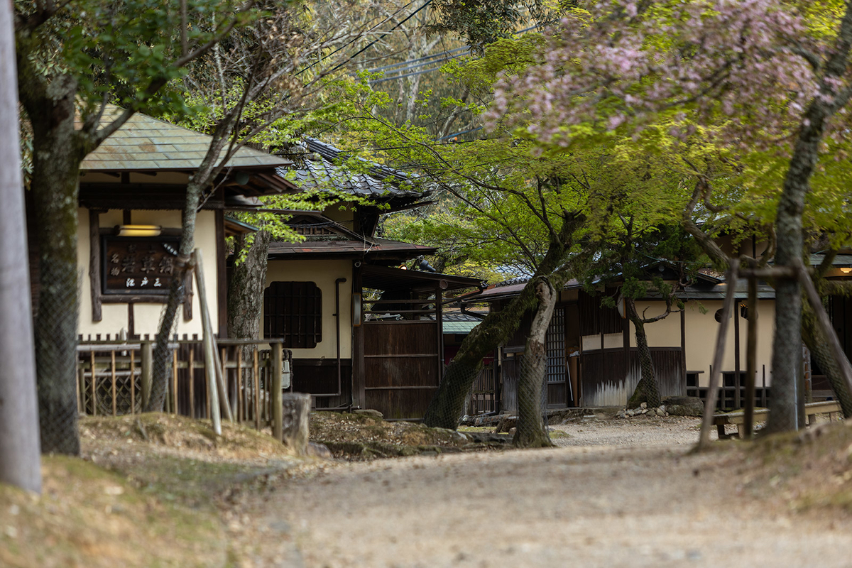 奈良公園