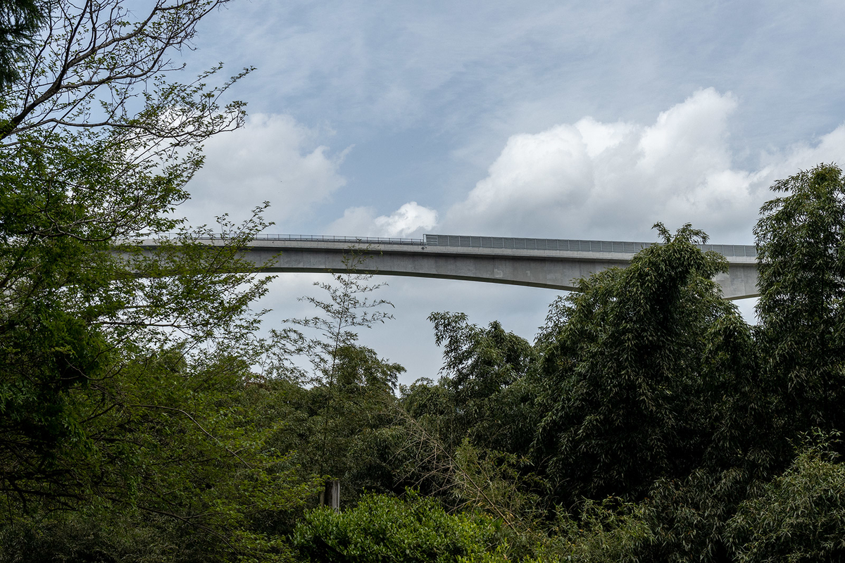 旧トロッコ道 竜王渓 新高野街道