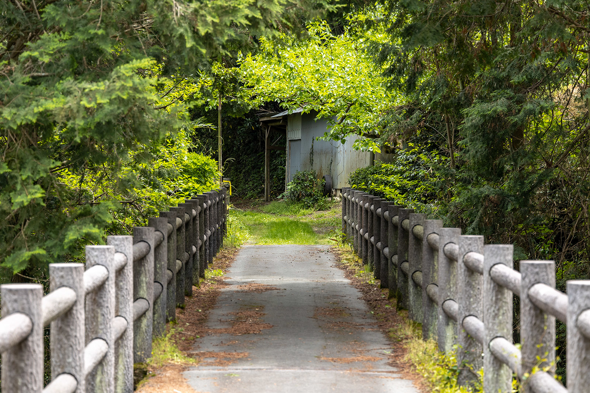 旧トロッコ道 竜王渓 新高野街道