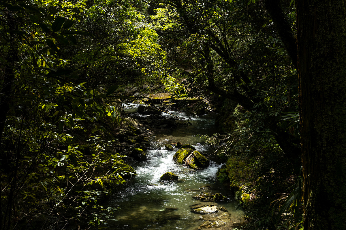 九度山