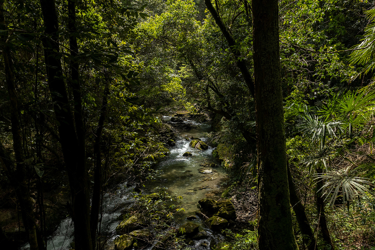 九度山